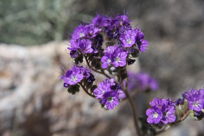 20124C1349F34AB40DA664