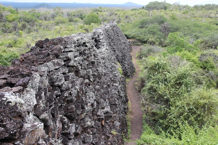 e9f7c07fae8640ed741ba595a0590515b5bb3534