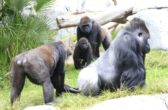 d8749130e3c58eeec04ef383aa9dd03ad27d9862