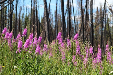 2b4b47501c146ab8cb30ce9f826d64e657a5f17b