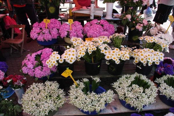 433b487926f7e1554a5213927588f3db7cb2d42c