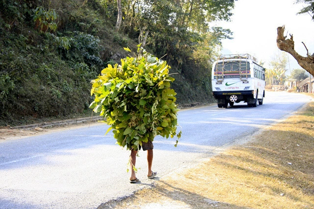 c0003af32ba0b696dfa025380655cc1359c9a31e