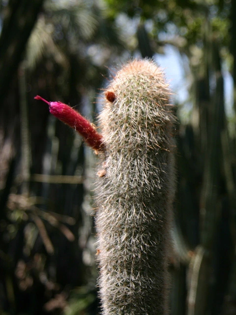 e05c1f73bd527b39fc6e06ada1d2428683272f5f