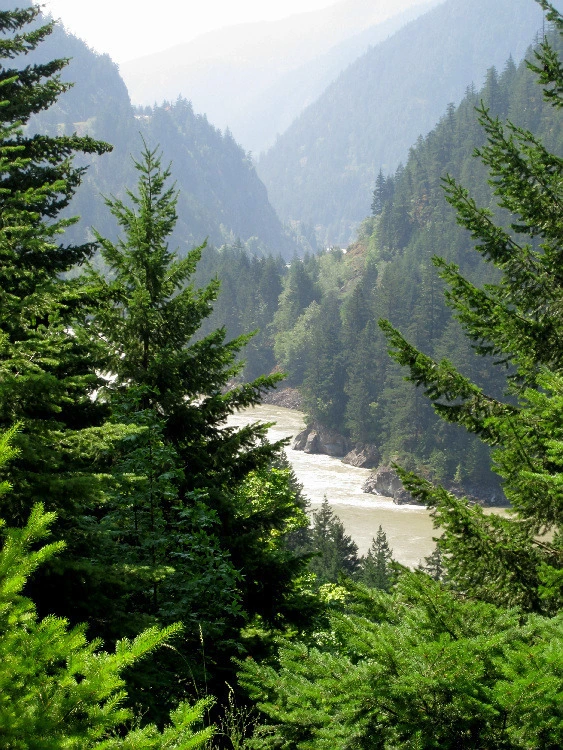 1cc9bd85622d277ea822c1889b55996f40e5e8d1