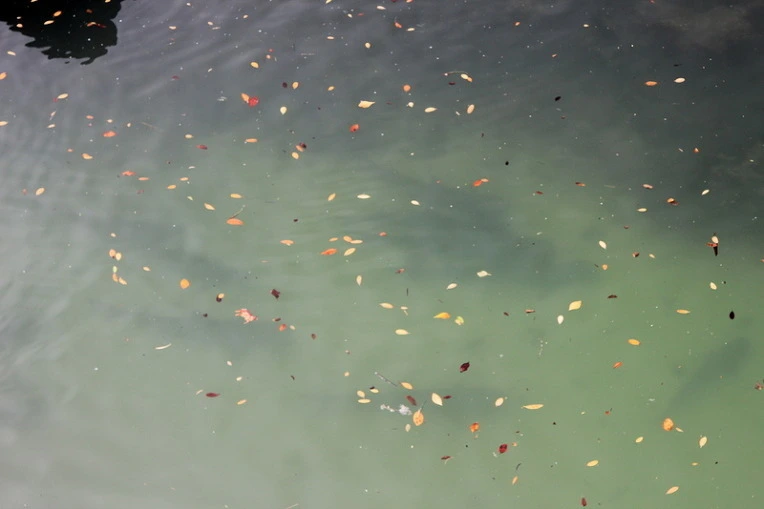 eb26e0c63d483727d54039732996536bac72c33c