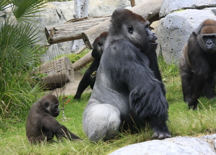 f4cecbc8b77182afa8c62a172eba3bc02be807db