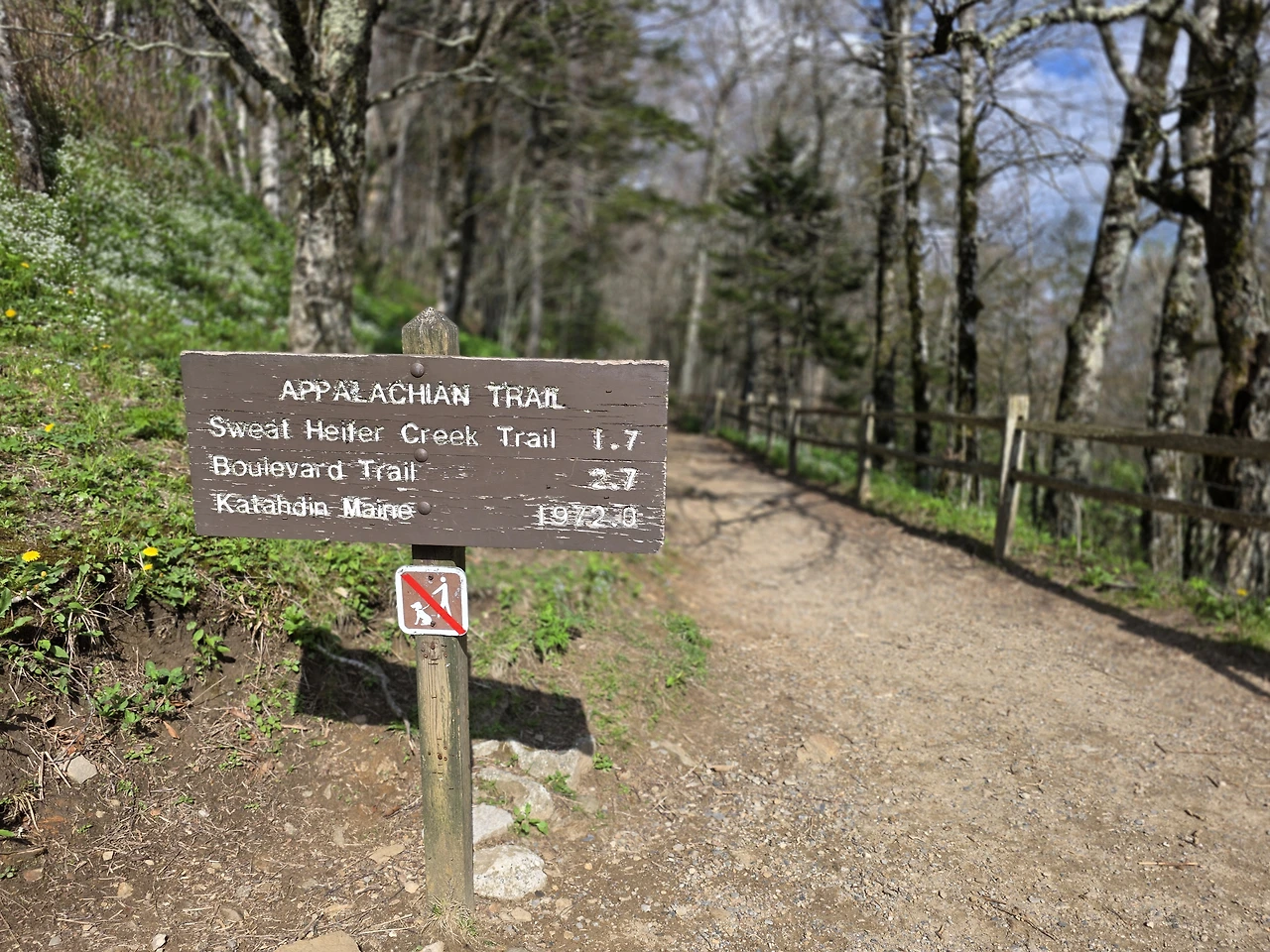 7ebbdf729063a67e4b3fed94b9769b30dbc257c6