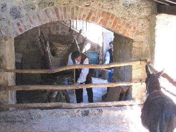 a1c9e8cea1ec540c2d7cfcfacdd09dbe7d2e76cf