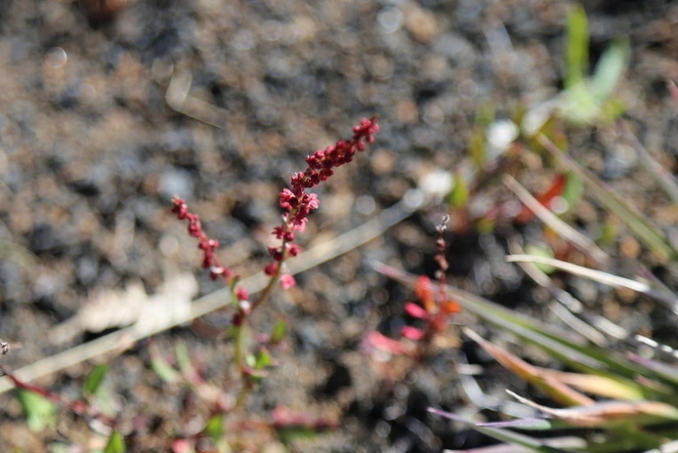 139cb1258b3ed7486e194d94826ba80bdb590835