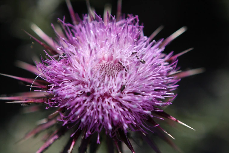 f233b0a4fb2cbcde2591941bec1491bd1deb0b69