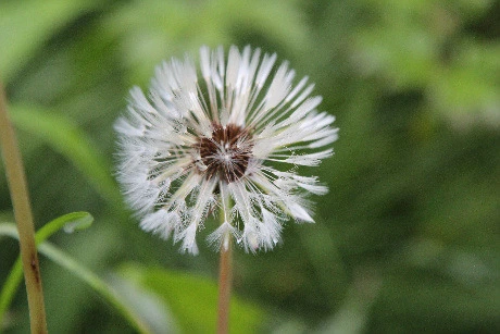 b293ff490b0ab0c9e900f3c86dd8704d1a967488