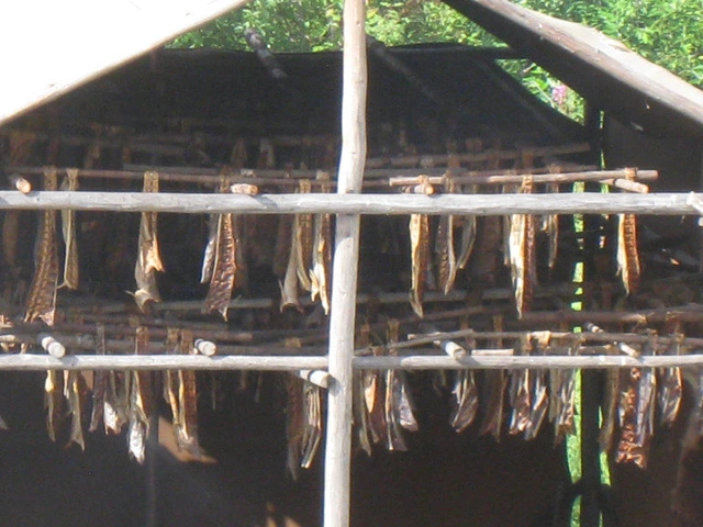 034fde61d8585552c22d116b6a5ee225385b0470