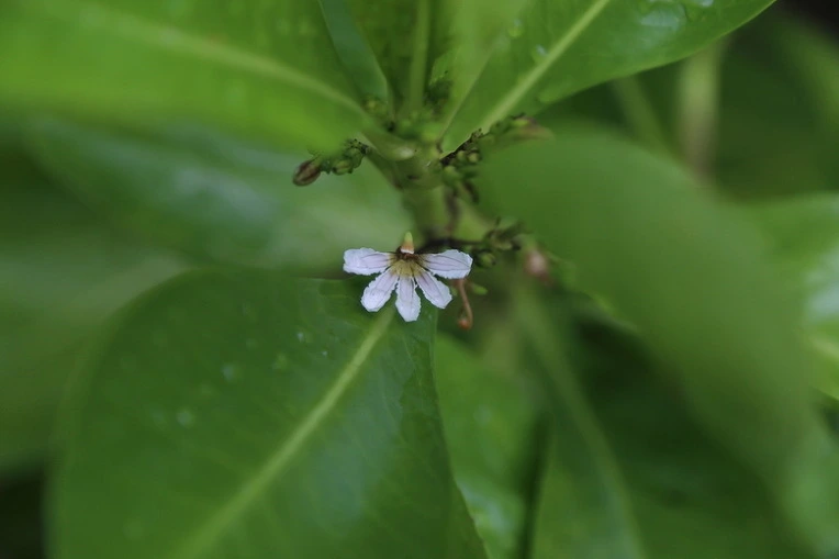 8874d4429235b9c45bde7e8558cb46b41104327b