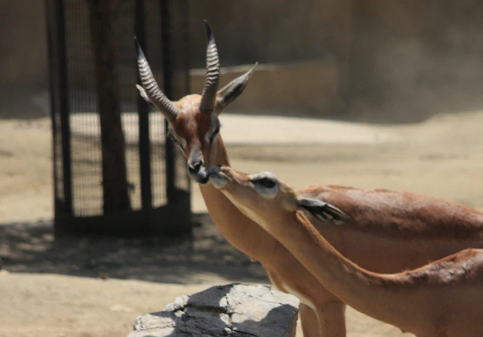 7231bb15688ea9826e75eefcadfb4a5041091b35