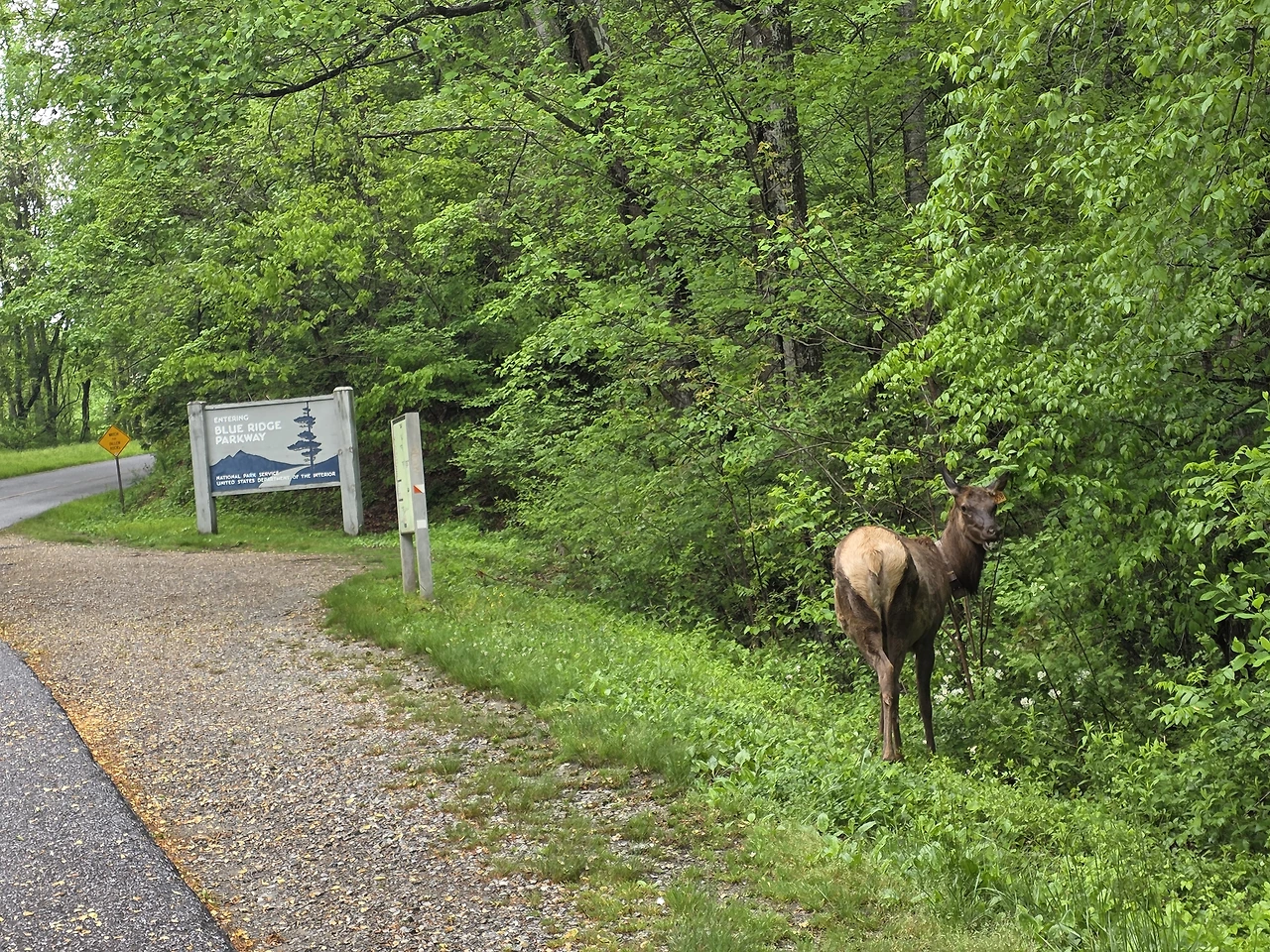 9dac951fc6ff0e0f31c9781f3d7655b569624fc9