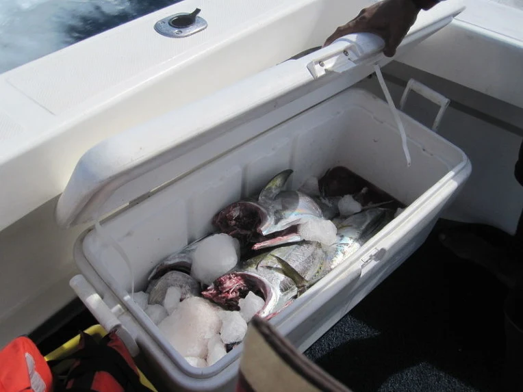 0ae1374ab7392b63a5f4db03cba17aac1b31d0df