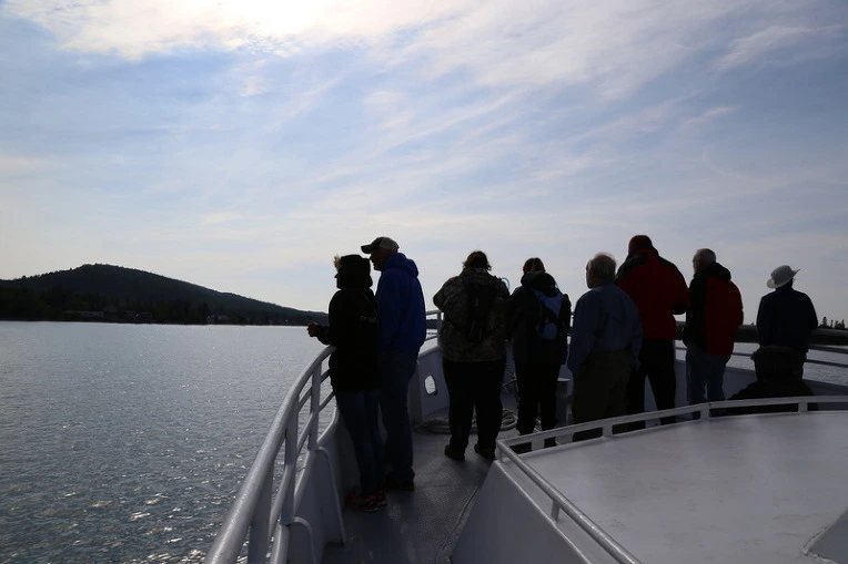 2228FD5055F232A3331FF4