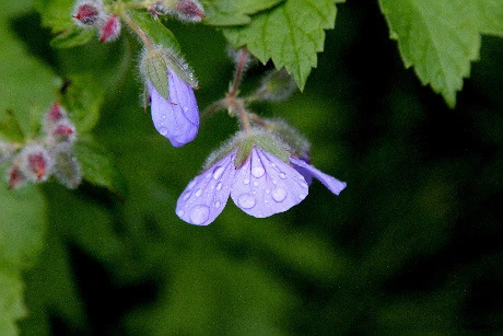 745c2c185e5467ee99b15ecec4eb818e011d4e76