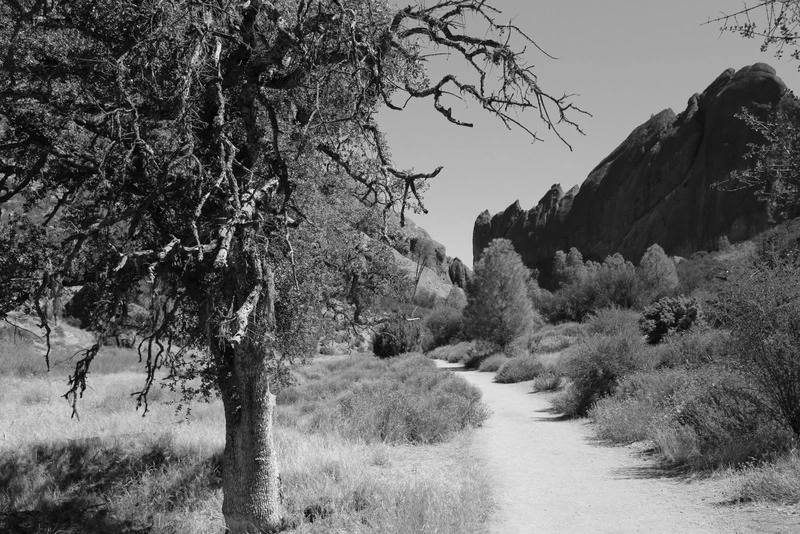 99D23C3D5DD1C0F1325F8D