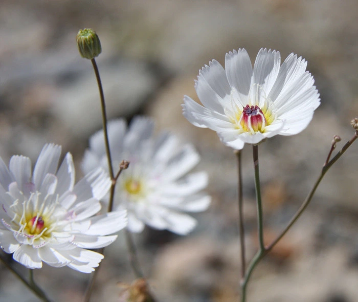 12124C1349F34AB510CC00