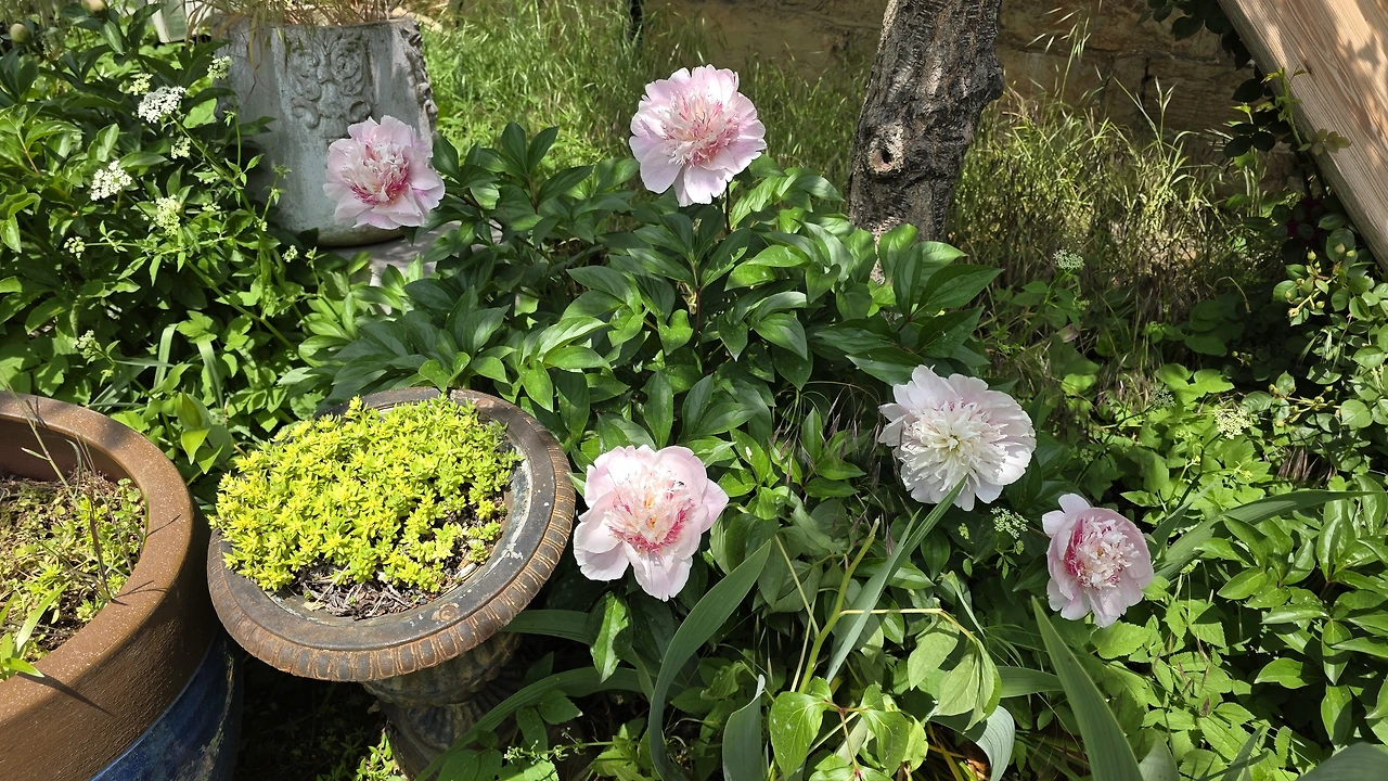 2636aee08eeb98497595e45a774b8d80d4fe9ea9