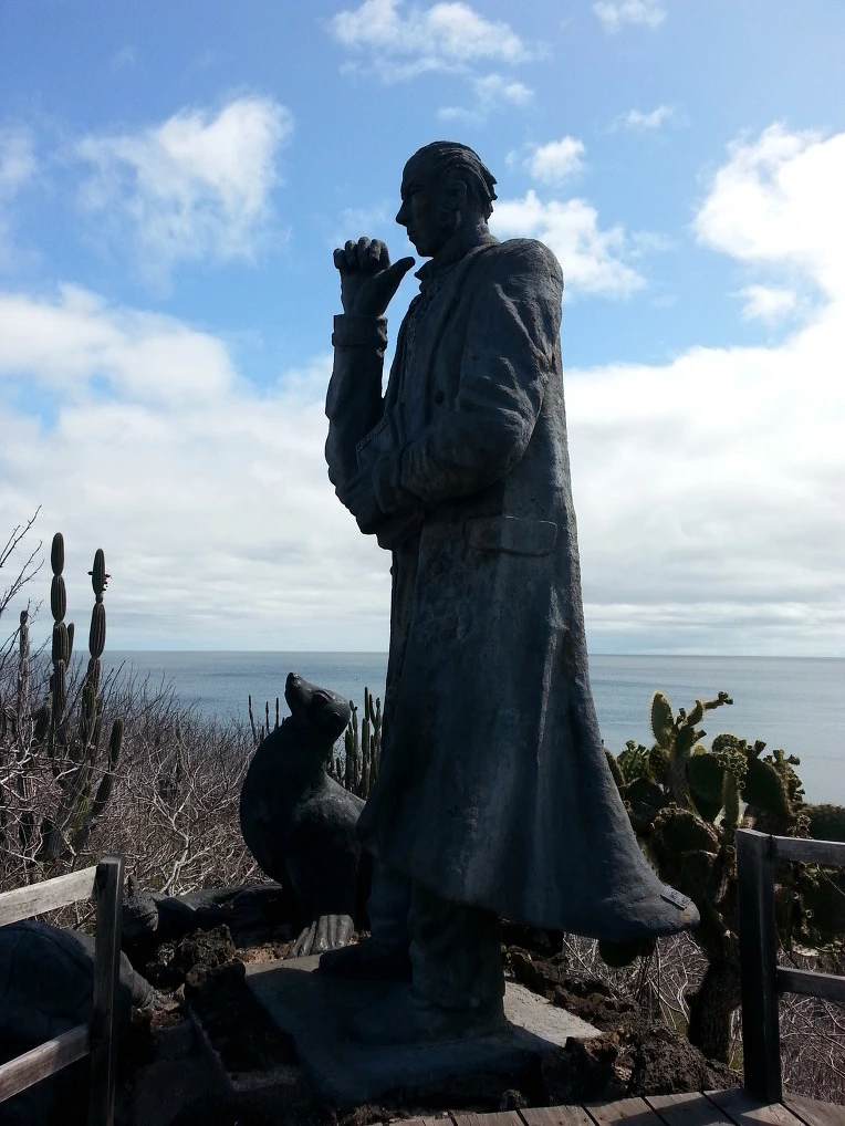 197cd2e527ecfc9c90a4c5a6dbb1392d9e13434a