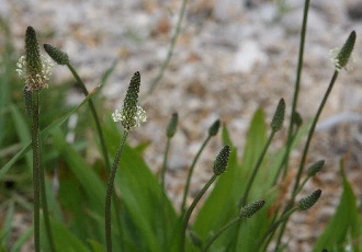 568eba4c679a09ca31232a4d5952172f89255c43