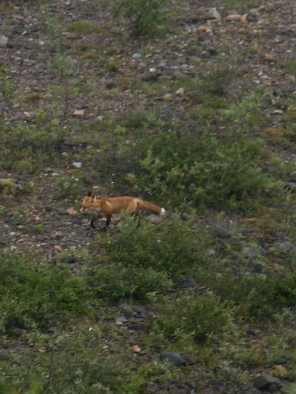 999A3A455DC211B824A47A