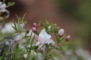 2c783060fa111c3ac394a8bf341ec8ab9f9b8b84