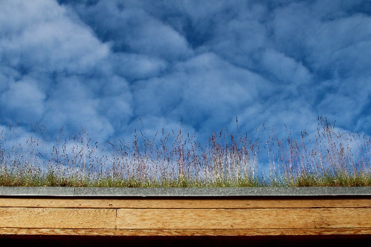 9961163F5DC2D47C22D576