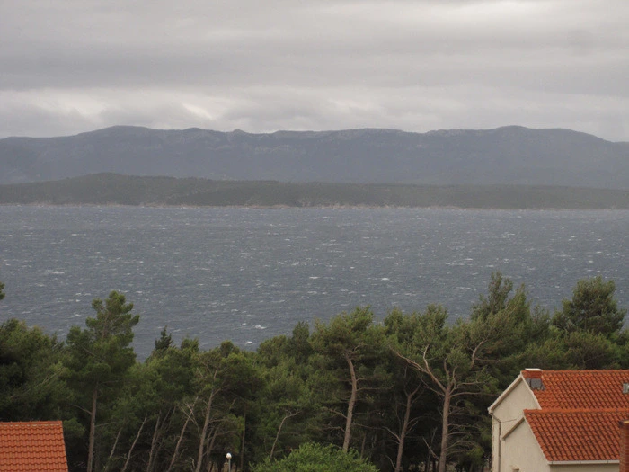 31dc750a5dbc830fcafef55810614e8cfa6e6ecb