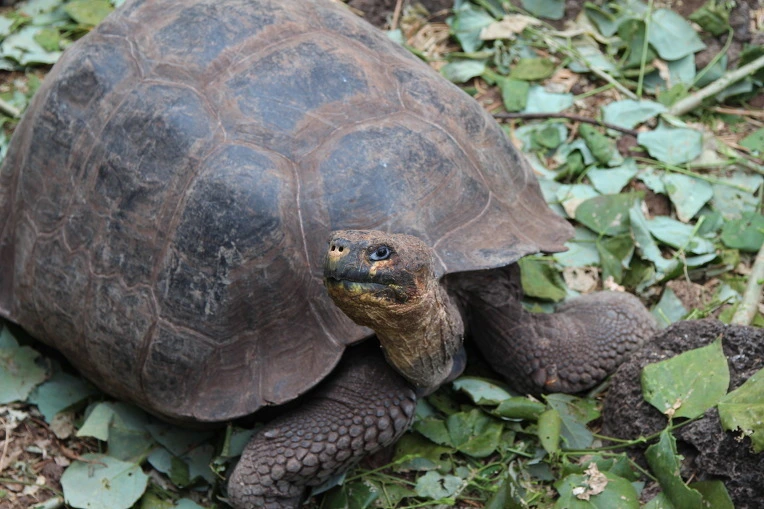 48199c24b0221b1de25f5ce2f4a901202f9f23bb