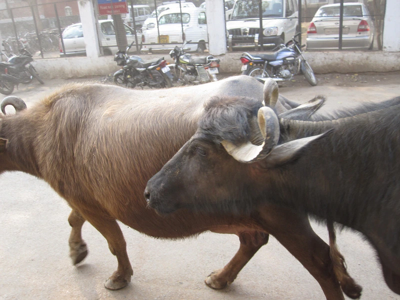 60d1e3278c79fc892eabba604afabf8c36aa126f