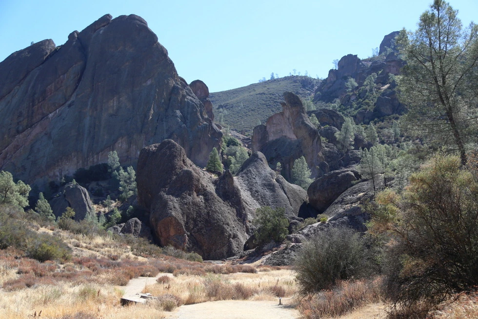 9934D63E5DD1C0A015E702