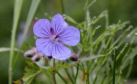 3d8501fa2e3fd9c983345ab0c0fe8a49c9b29e4d