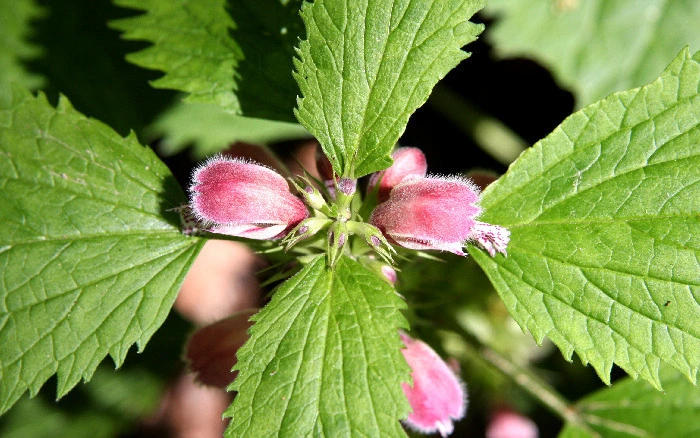 9b3b550eb9a904d57eefc818c5451881d5de05ab