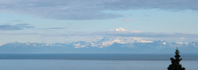 c8cf394c0491c6ca8d4307ca4ecf06a01ba86b56