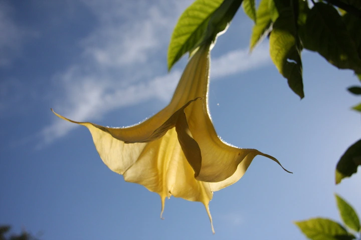 65ff8d5862e9eb9361dc23d8b273ffd6d2428a07