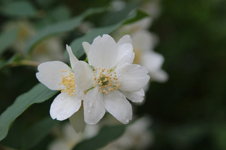 3d6c4584ecee8ba6e5df897b88559190fe1db1f0