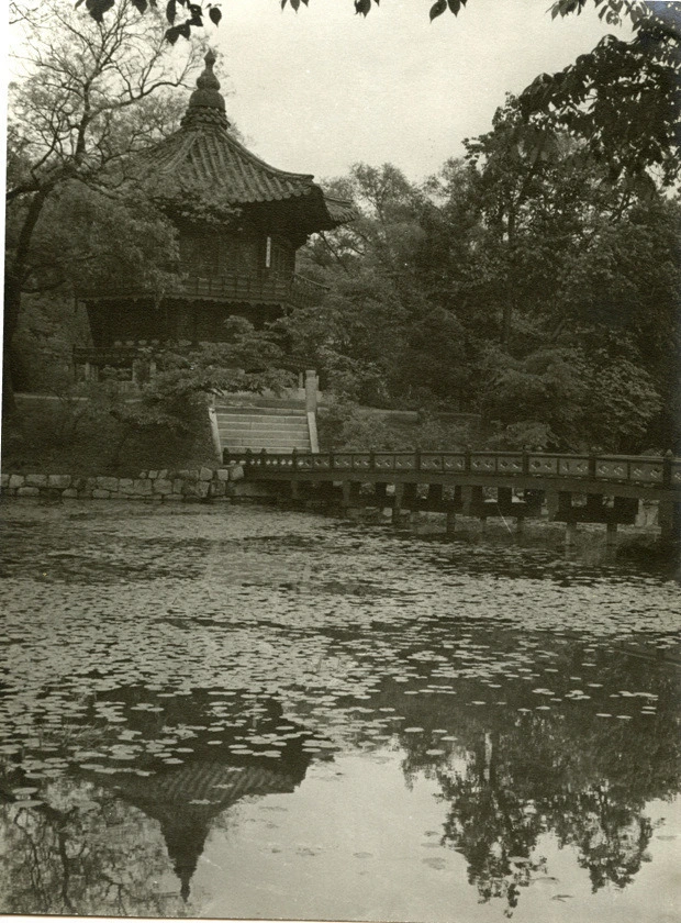 8b45efa25c64906f4e20e467a9bad46d6a000c33