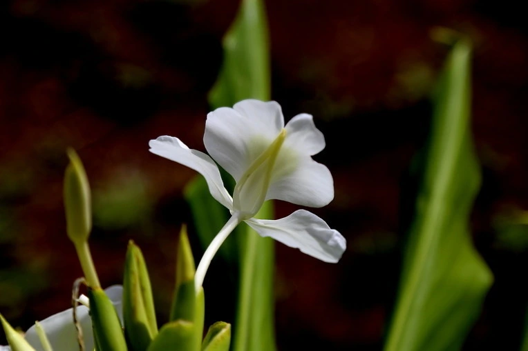 f27e49723bc2e479b194f597fa4d595e07bc5d84