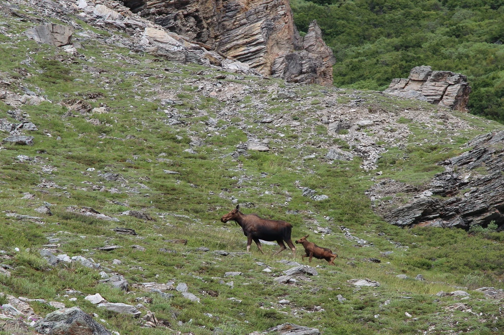 992674445DC2128226733E