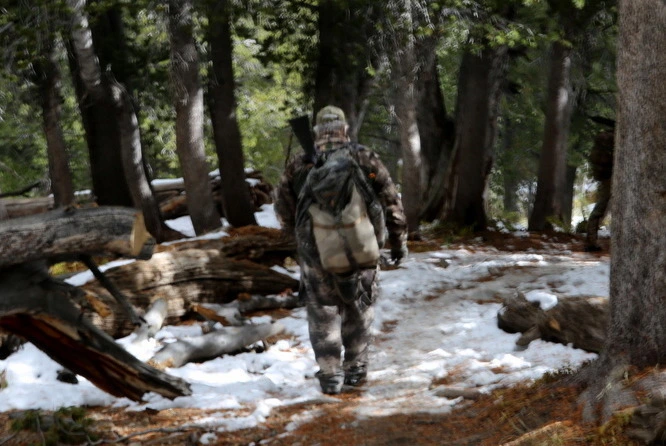 8eb4b552935aca38cba429d54a859429ba2a029f