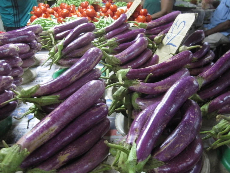 f1edc62692399a2fc1dafee2605be2c31f81f4d1