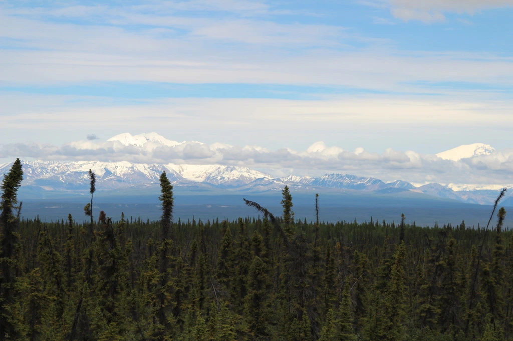 990FC43A5DC2D39627F8FA