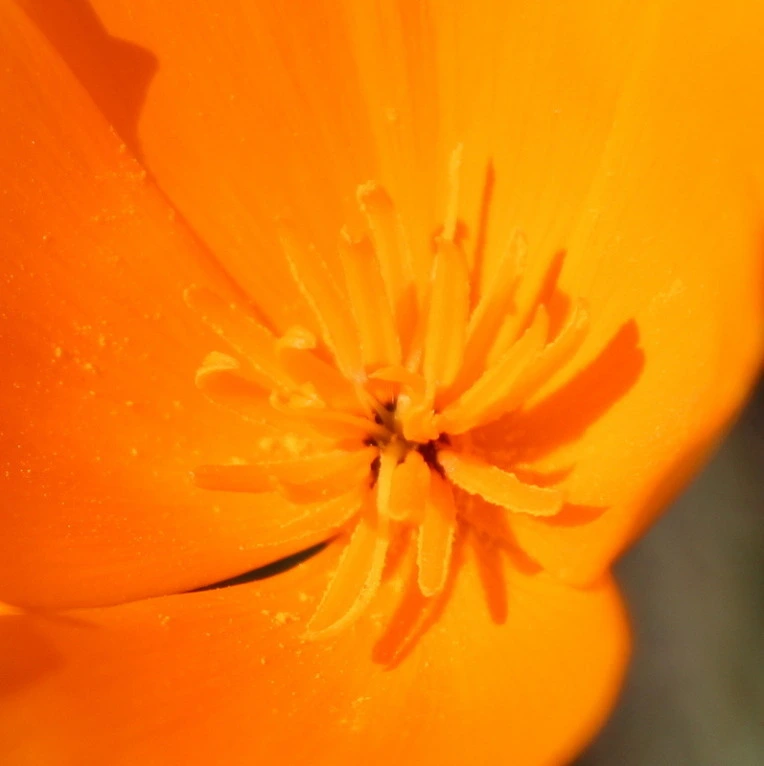 52f41be9246724003f47d4221fdf54d5f5de8c5e