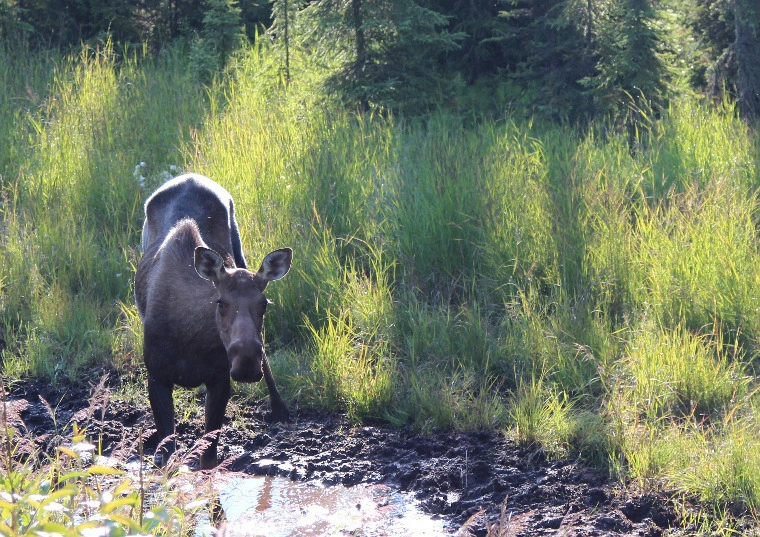 19ee77477d08c2b826f65e7a6f8236c832fc8b27