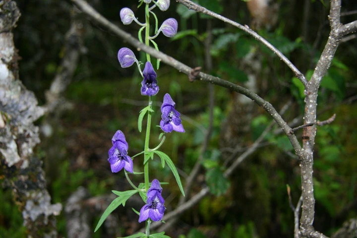 0cd49cf446597c4e11025d14b8998096302e5087