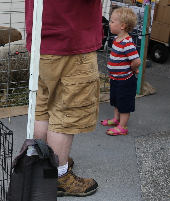 aed72c301b7e13addf433a885cf013049435422c