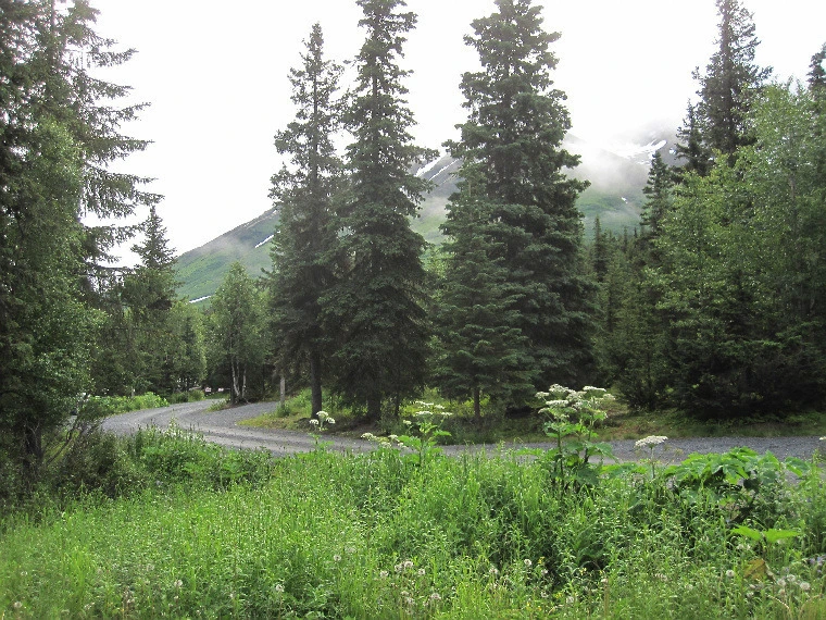 d5b944fc49afcecd7f70a186bb12c85fb6c2c95d